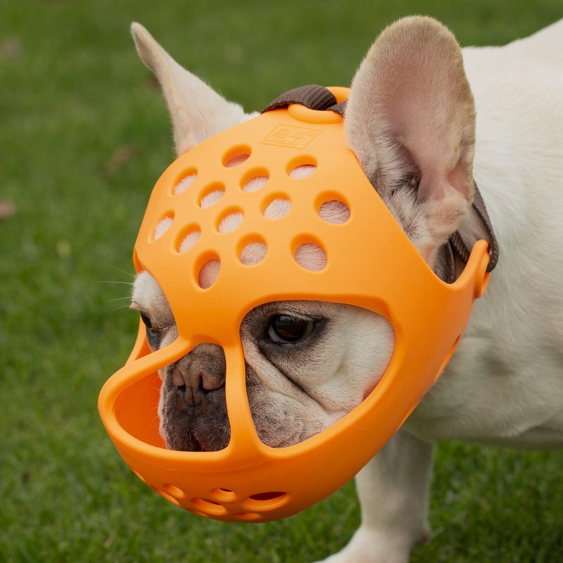 JYHY Short Snout Dog Muzzles,Soft Silicone Adjustable Breathable Bulldog Muzzle for Biting Chewing Barking Training,Ideal for Flat-Faced Dogs (L, Orange) - Image 1